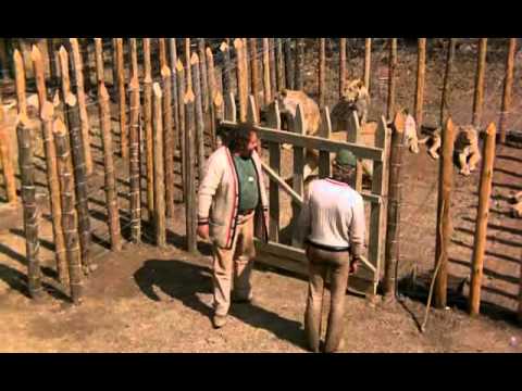 én a vízilovakkal vagyok (teljes film)