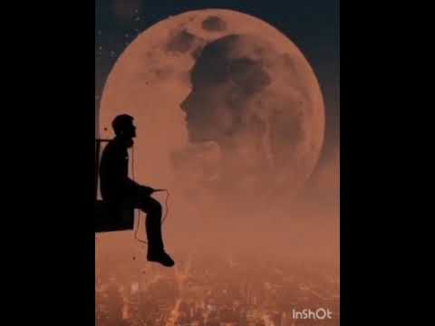 Nə Cür İnandırım Səni,? - Aydin Sani #elsnur