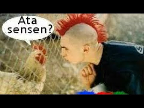 Ən gülmeli video