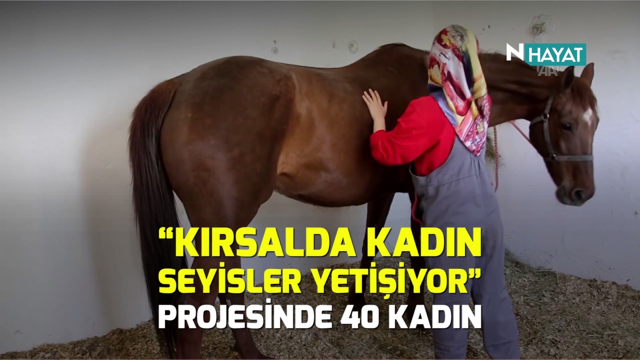 N Hayat... Atlara anne şefkati