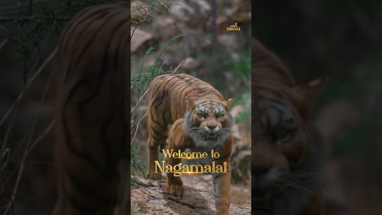 Nagamalai is waiting for you 🙃🙃