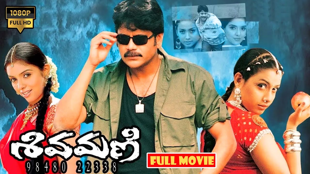 Nagarjuna And Asin Telugu Full Length Action Drama Movie | శివమణి |  @JordaarMovies