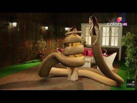 Nagin 2 Shivangi golden snake in green screen.Shivangi snake in green screen.#nagin #nagin6 #bella