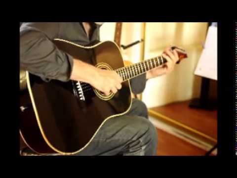 Nagoya Suzuki Insignia SI335 BLK Acoustic Guitar (1984)