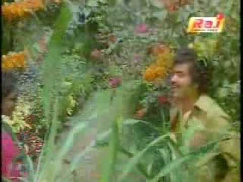 Nalini hot rain song