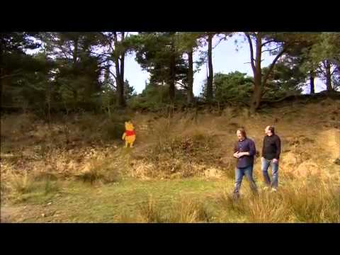 Nalle Puh - Sjumilaskogen