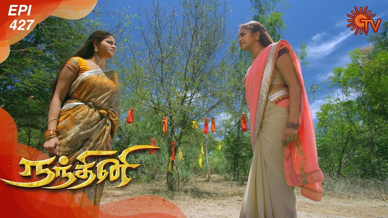 Nandhini - நந்தினி | Episode 427 | Sun TV Serial | Super Hit Tamil Serial