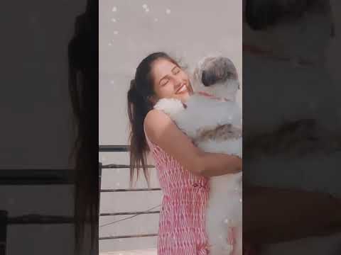 nandini gowda new Instagram reel shorts #shorts