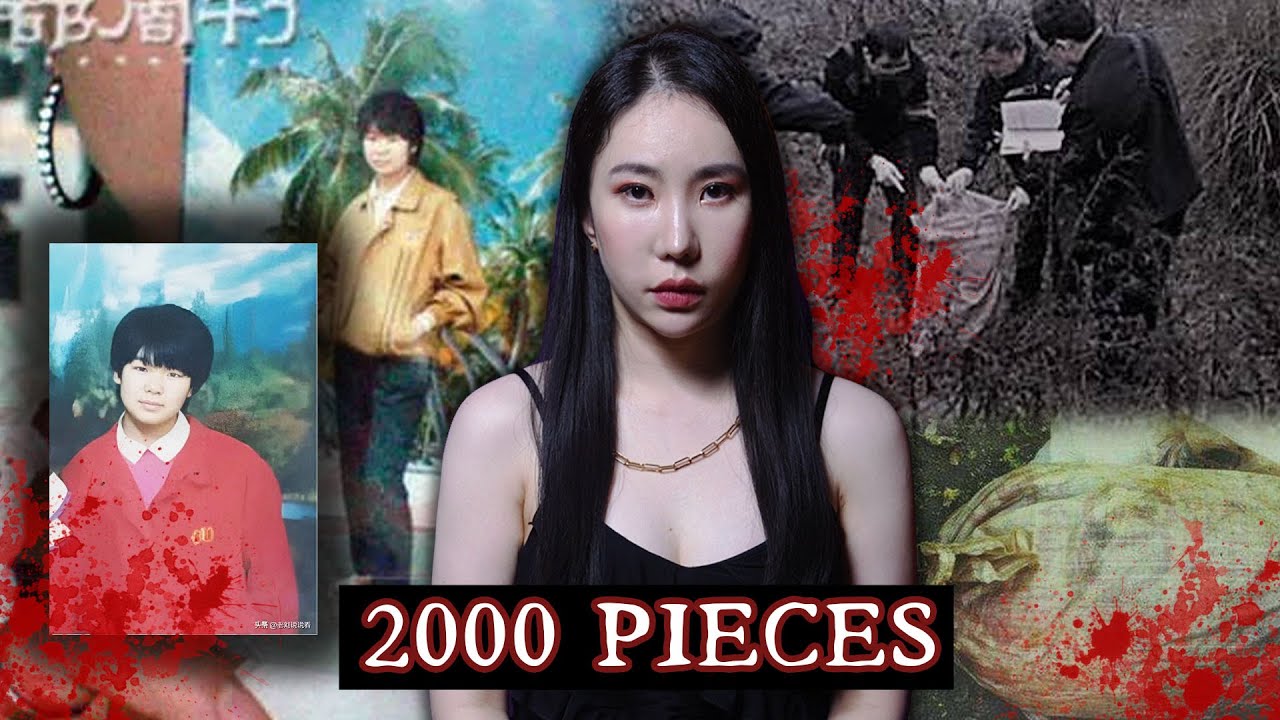 Nanjing Uni Student Became a Stew of 2000 Pieces: China’s Most Disturbing Case｜Diao Aiqing