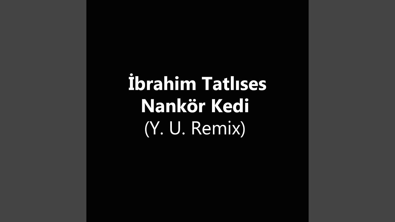 Nankör Kedi (Y. U. Remix)