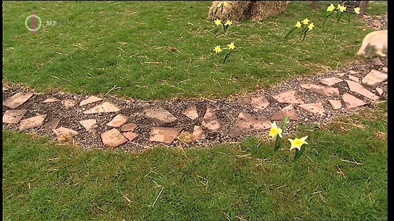 Napfény Farm 05. rész - Turcsi és Gobó összeveszne