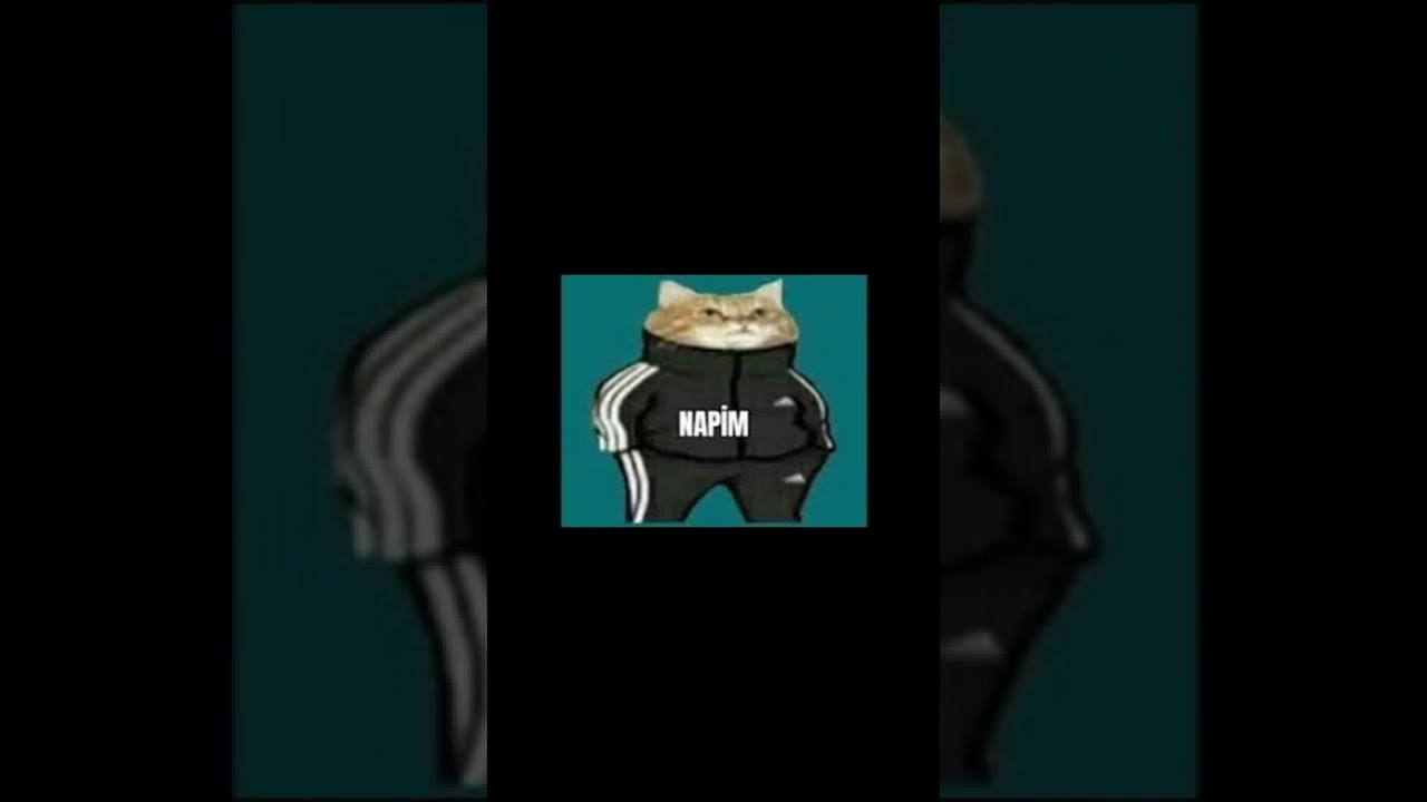 Napim akımı ses efekti|napim ses efekti |Sanal Paşa