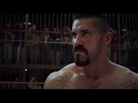 Narezka boev iz filmov Ong bak,Ip man