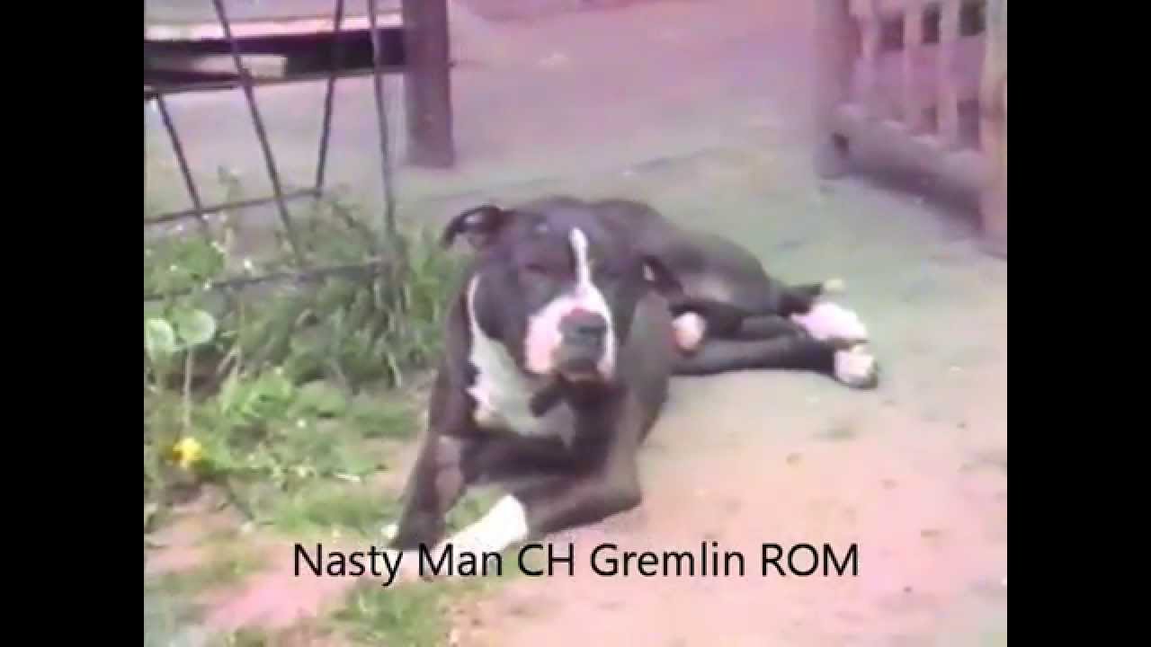 Nasty Man's CH Gremlin ROM