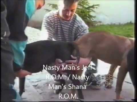Nastyman Jeff ROM X Nastyman Shana ROM