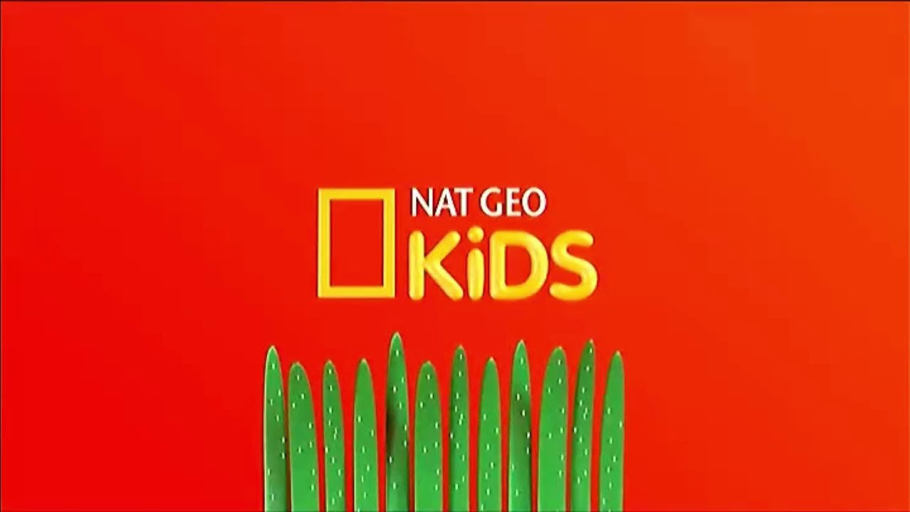 Nat Geo Kids Latinoamérica • Compilado Gráfico (2017 - 2022)