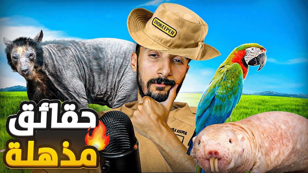 NATIONAL BIMO GRAPHIC | 20 معلومة مكتقبلهاش العقل