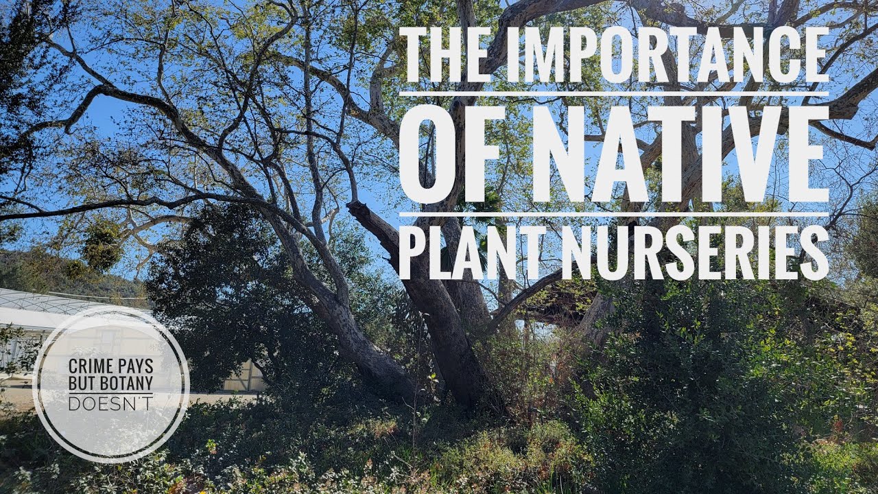 Native Plant Nursery