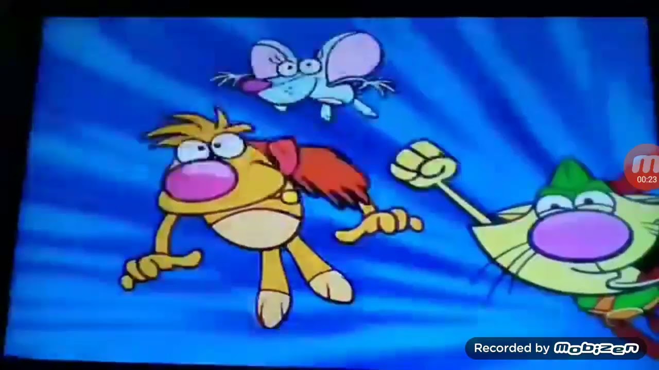 natugato segunda em Discovery kids brasil