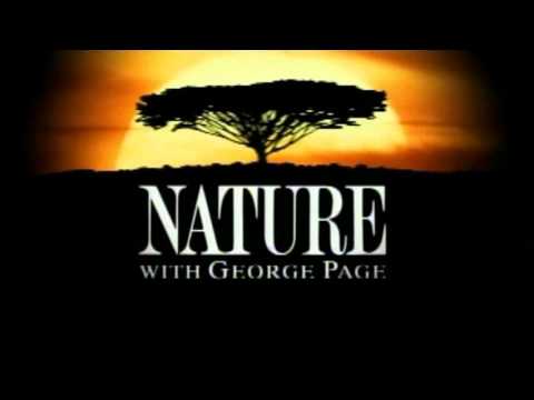 Nature Closing Theme (1995-1999)