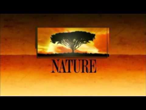 Nature Closing Theme (1999-2006)