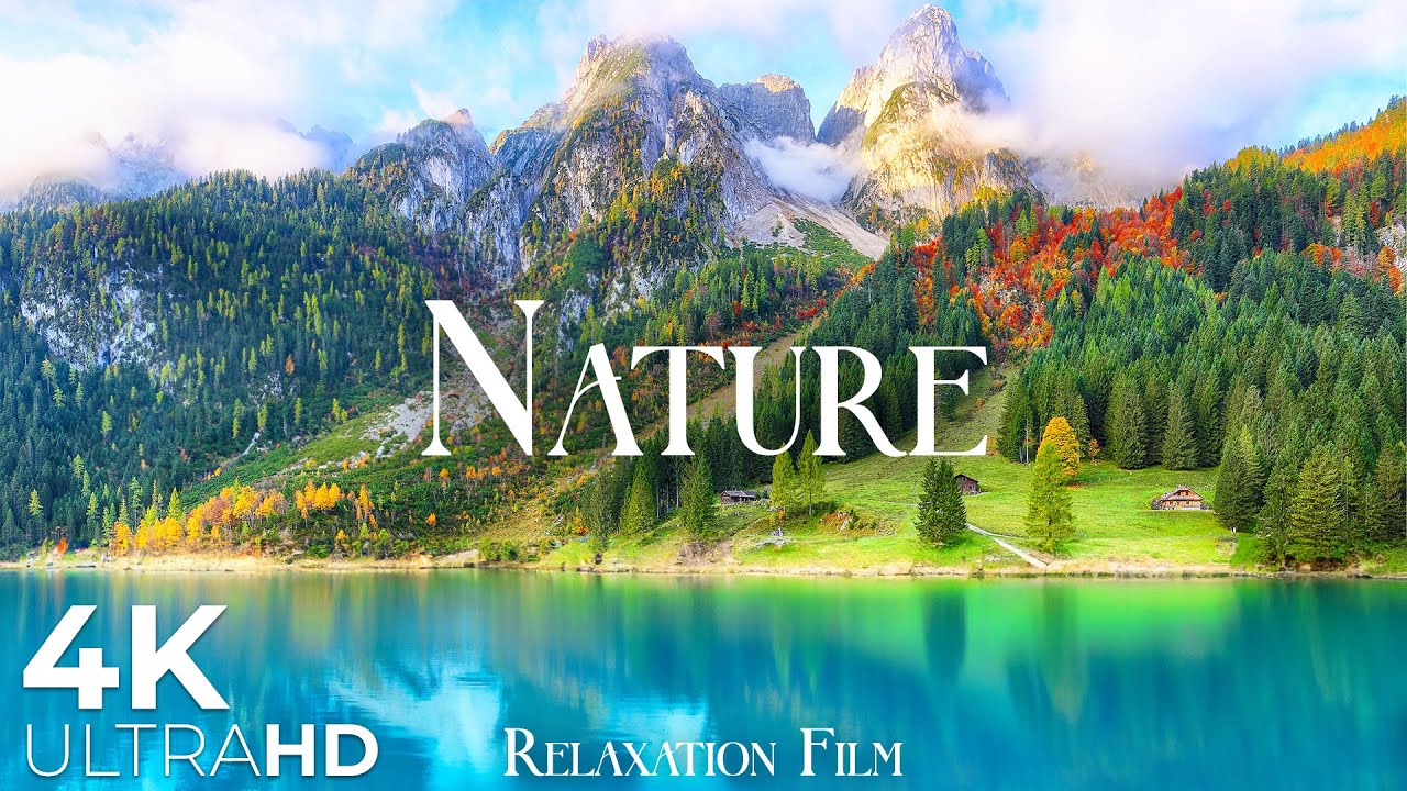 Nature Europe 4K • Green Jewels of Mother Earth | Relaxation Film | 12 Hours of Natural Calm