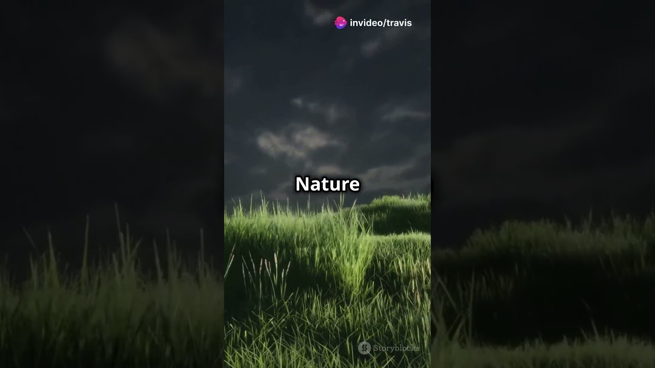 #nature #plants #tratv#newvideo
