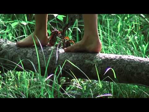 Nature's Child