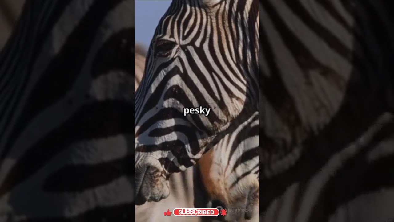 Nature’s Hidden Trick Zebra Stripes  #youtubeshorts #informative