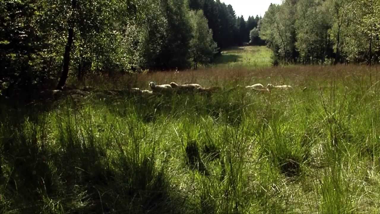 Naturschutzgebiet Immerkopf bei Wiehl im Oberbergischen Kreis
