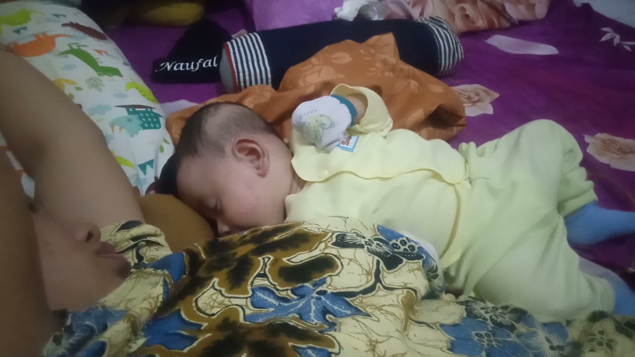 naufal nyusu sampe tidur pules