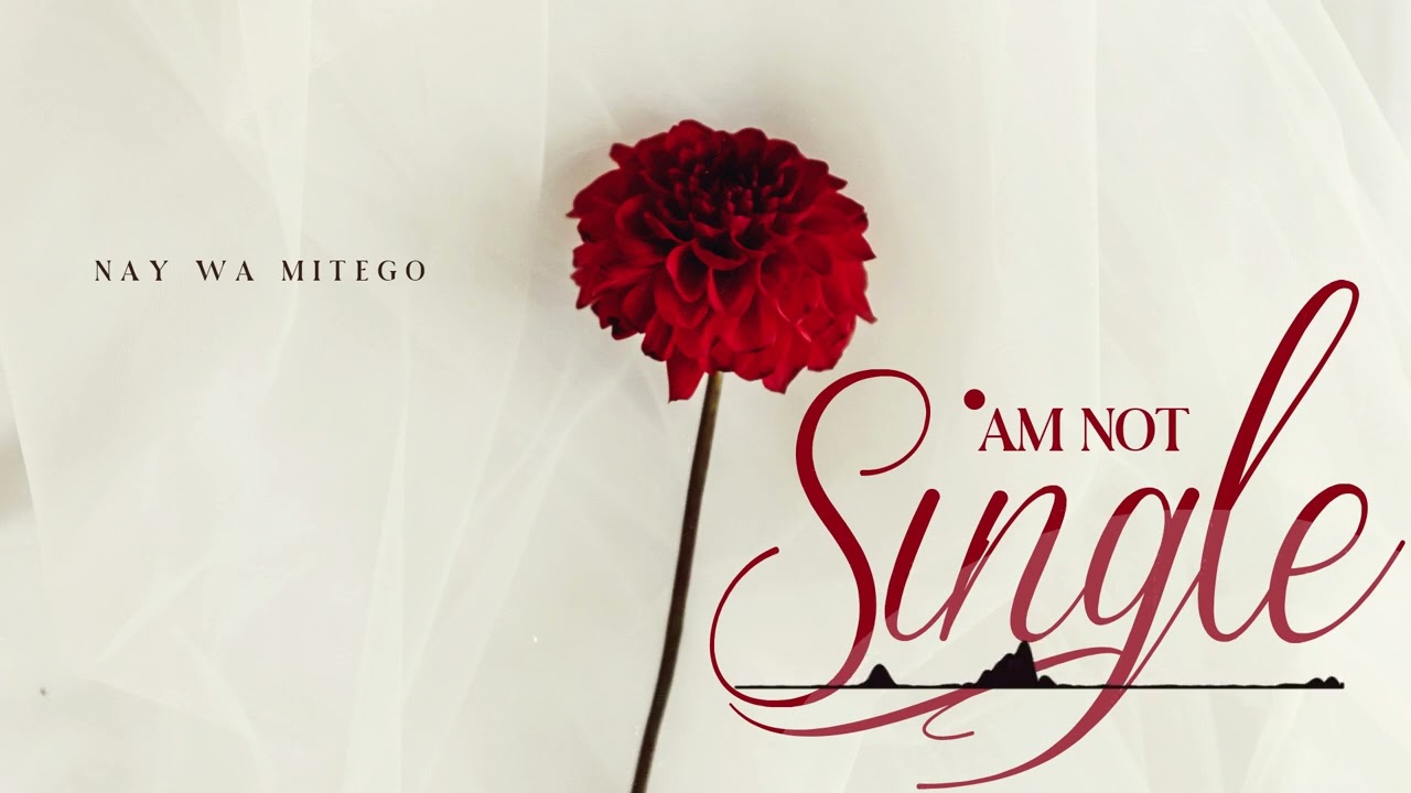 Nay Wa Mitego - Am Not Single (Official Music Audio)