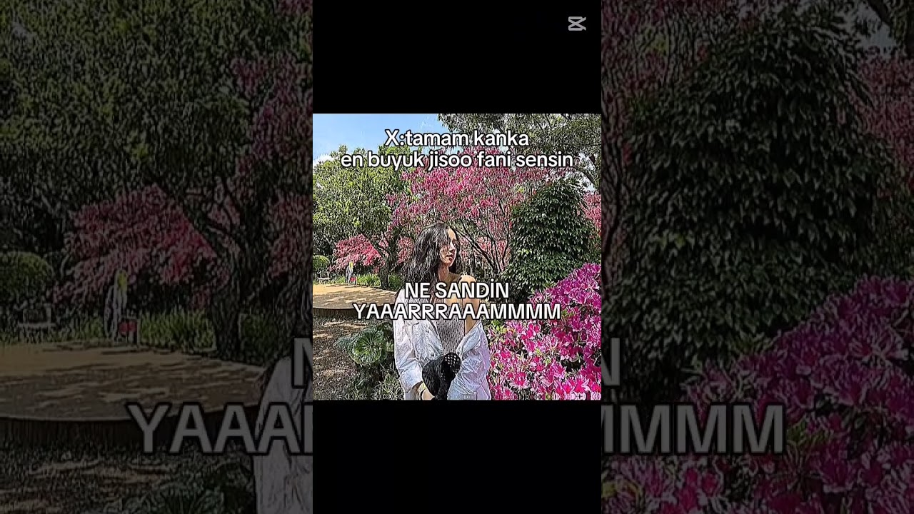 NE SANDİN YARRAMM #kesfethilesibuldumnaberyoutube #ytdayibenionecikarnolur #jisooo