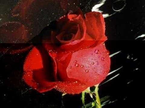 Neşecik - Geceler Yarim Oldu
