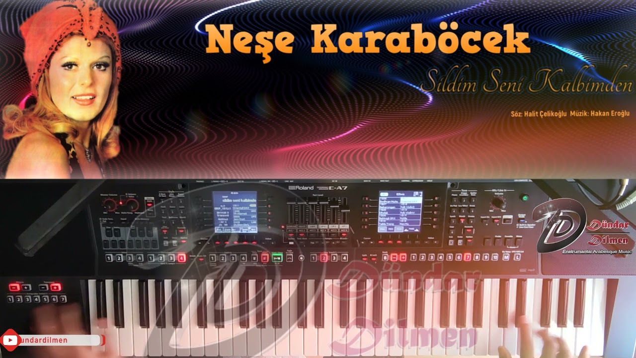 #NeşeKaraböcek #SildimSeniKalbimden #org #korg #roland Sildim Seni Kalbimden (Roland E-A7)