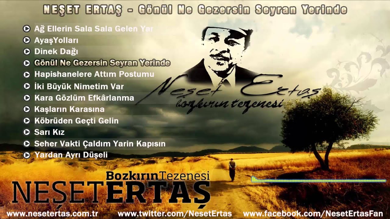 Neşet Ertaş - Gönül Ne Gezersin Seyran Yerinde