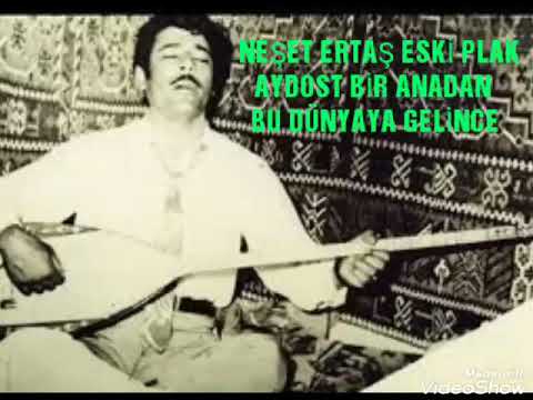 NEŞET ERTAŞ ESKİ PLAK AYDOST BİR ANADAN BU DÜNYAYA GELİNCE