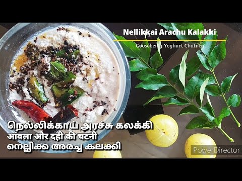 Nellikai Arachu Kalakki - Gooseberry Yoghurt நெல்லிக்காய் அரசு கலக்கி आंवला दही चटनी #shorts 4K UHD