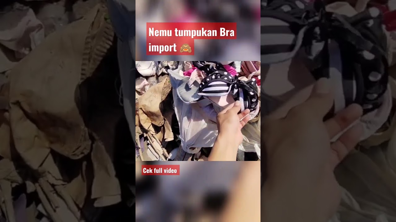 Nemu tumpukan Bra import