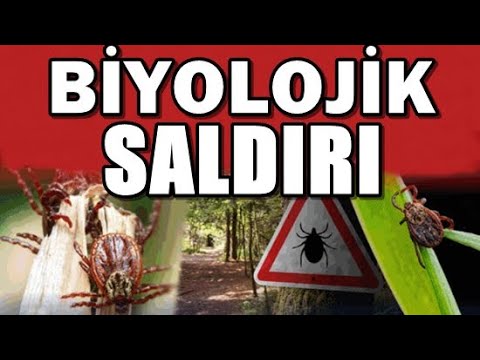 NEREDEN GELDİ BU KENELER?