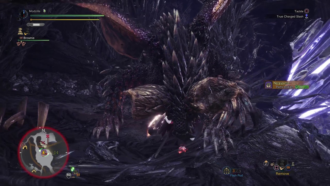Nergi GS