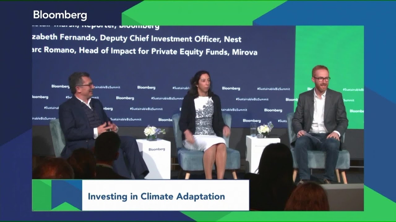 Nest, Mirova Execs on Investing in Climate Adaptation