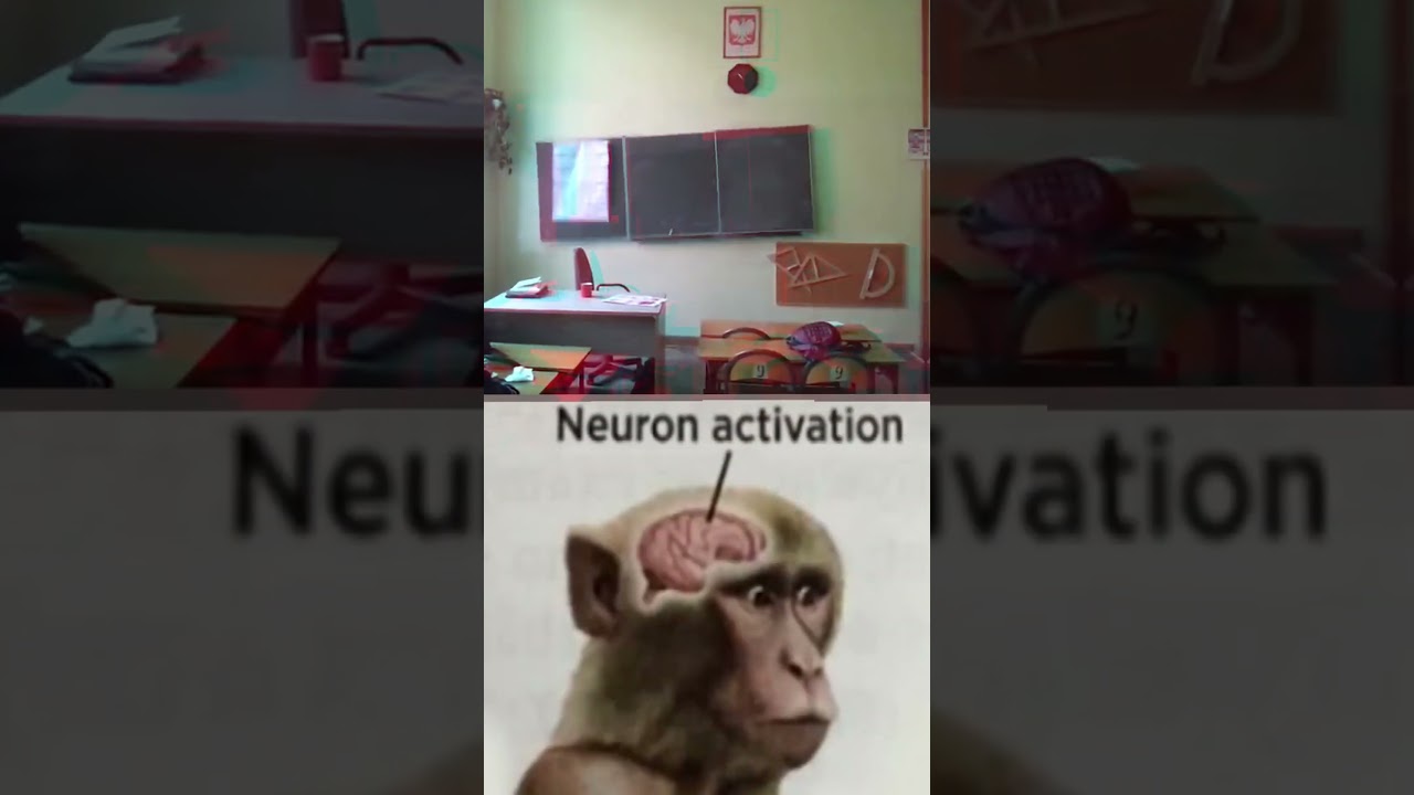 Neuron Activation Meme🎓Polish School  #school 🧑‍🏫#tiktok📚#viralvideo👨‍🎓#poland #polishgarnek