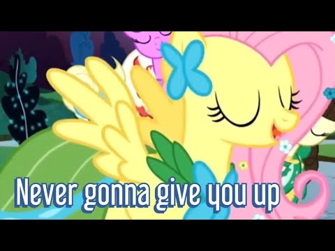 Never gonna to give you up Mlp