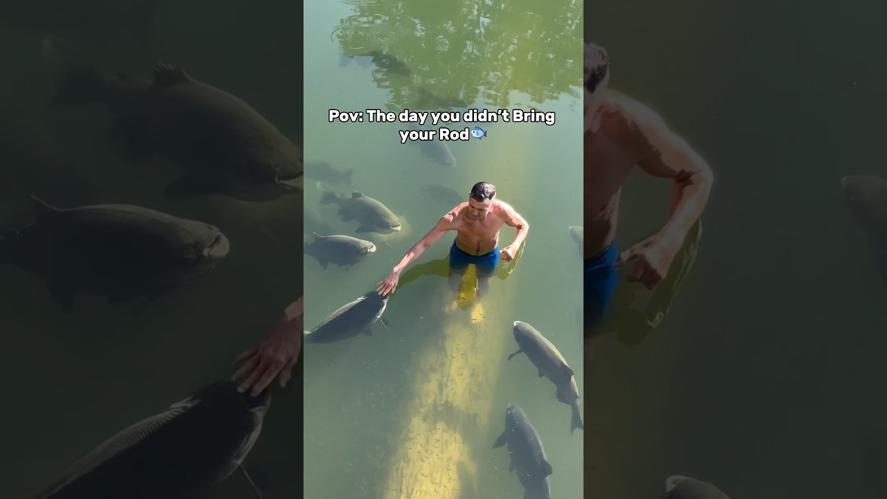 🌎Never miss a fishing opportunity again with the PocketRod🎣 #fishing #fishingvideo #shorts