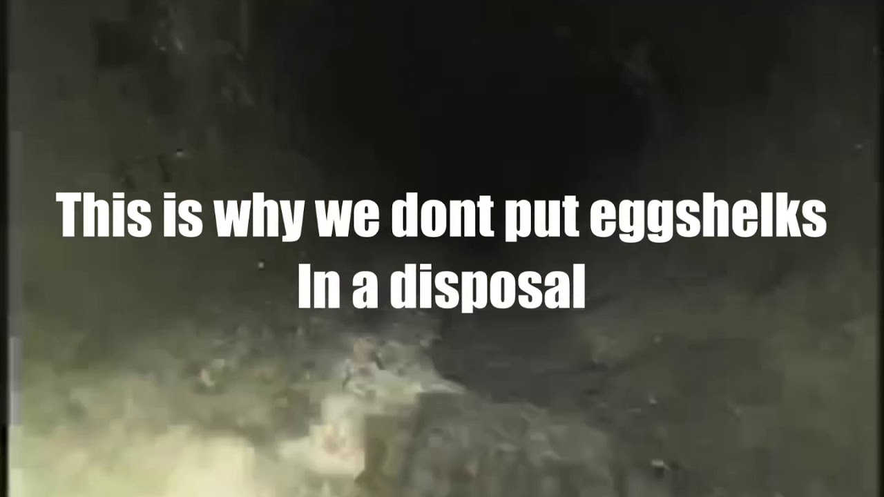 Never put eggshells in a disposal