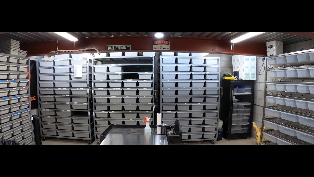 NEW FREEDOM BREEDER RAT RACK - INITIAL REVIEW & NEW RODENT BREEDING SETUP