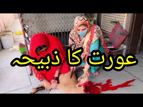 New Goat Slaughter By Anaya