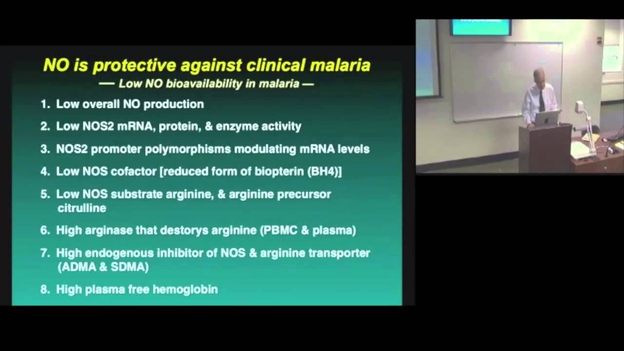 New Insights into the Pathogenesis of Malaria - J. Brice Weinberg, MD