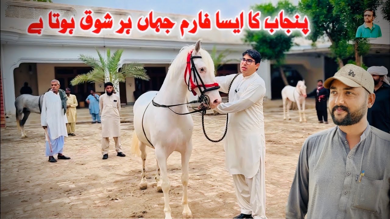 New Journey || Laleka Farms Haroonabad || Punjab kay Shok